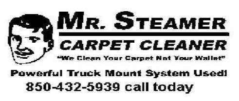 Mr Steamer Carpet Cleaner