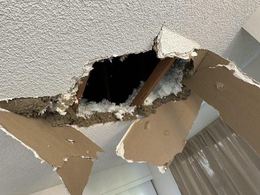 Drywall hole from a plant that accidentally fell through his ceiling.