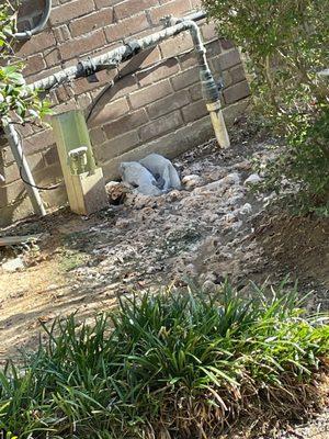 Sewage system that is spewing out human waste and toilet paper on a monthly basis