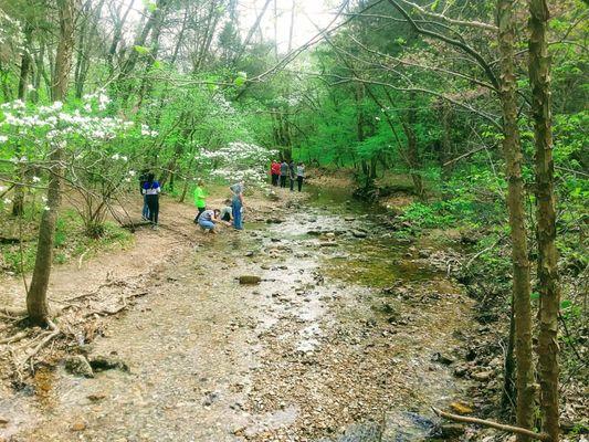 Beautiful hiking trails!