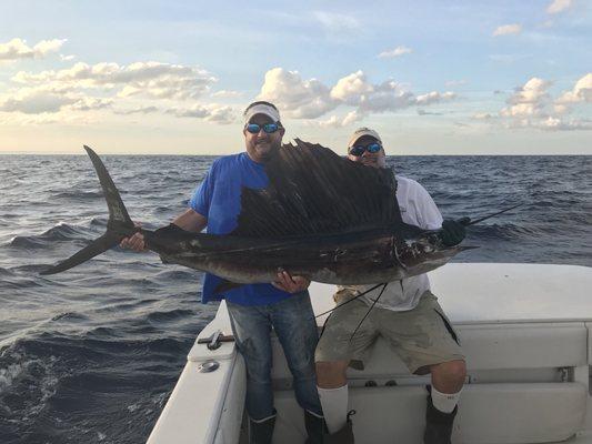 Monster Sailfish! Thanks Tomcat!