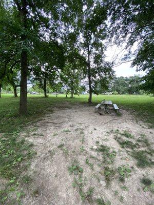 Shady area at dog park