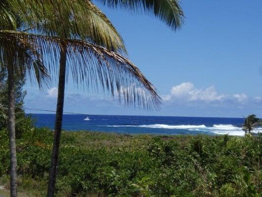 Ocean view from the Pualani Home, Kapoho, Big Island Hawaii