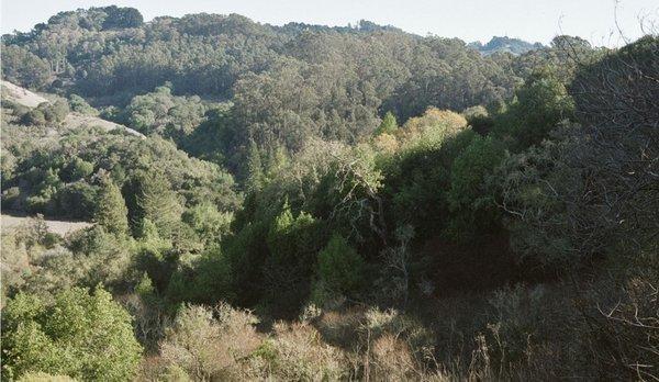 Another grand view at one of open areas along trail