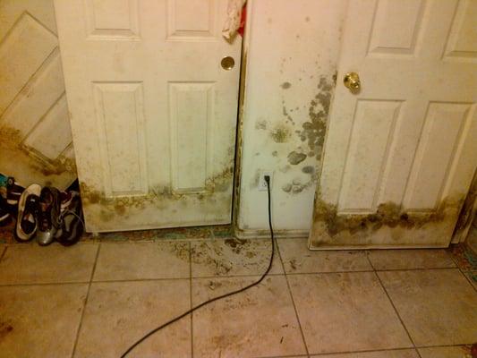 Mold Damage