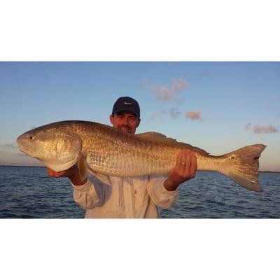 Bull Redfish  Call Capt. Allen  361-244-2747