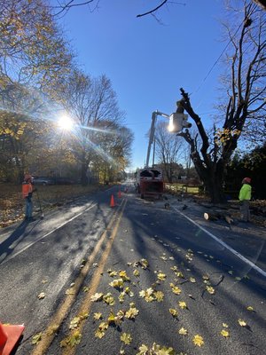 We are also booking tree work as well! Give us a call today! 484-550-8252