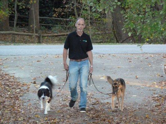 Trainer Mark walking with polite dogs who don't pull arm sockets out :)