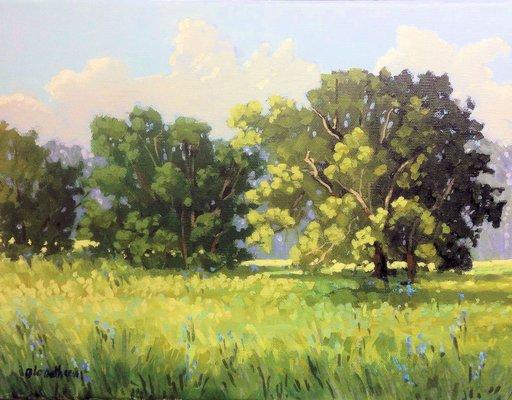 Summer Field Original Painting