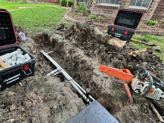 Underground leak repair caused by damage to the pipes from a  6-7 inch think root