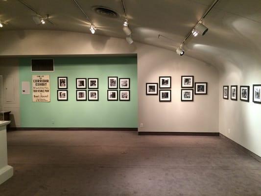 Skirball Museum In Cincinnati