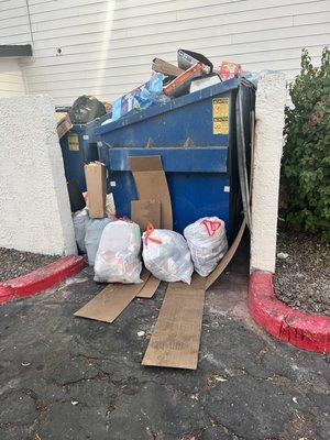 This is a weekly occurrence. Notice the other pictures are the same trash receptacle.... This is what our porch looks at.