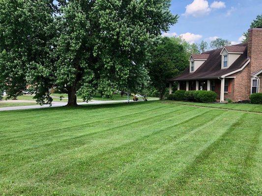 Another beautiful lawn mowed by Thin Red Line!