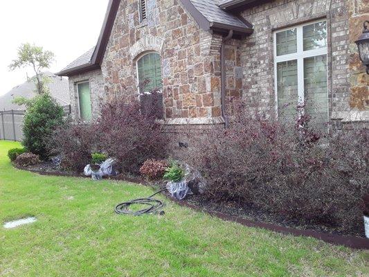 Flowerbeds Landscaping Clean Trim Mulch