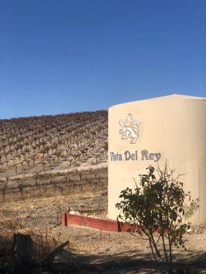 Vista Del Rey Vineyards