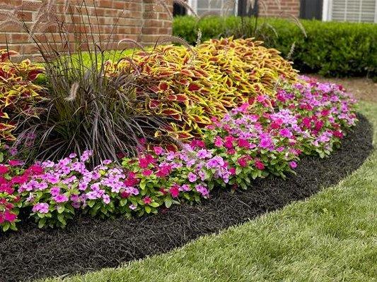 Brighten up your landscape, Bring up your curb appeal, Just moved in? Plan on selling or renting? Like your yard looking good?