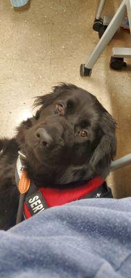 Luna in history class. Attentive and engaged. ‍