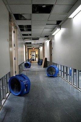 Churchill Downs Flood Hallway