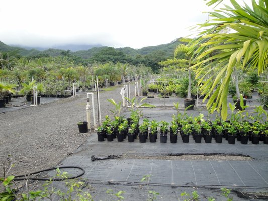 large nursery