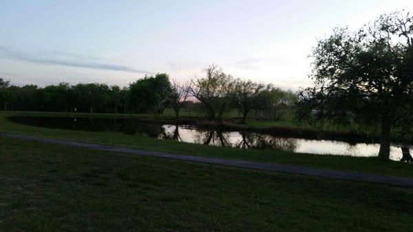 Beautiful pond at the CBC walking track