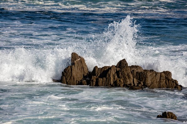 Pacific Grove Marine Gardens Park