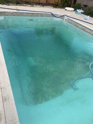 Pool with lots of algae, dirt, dog hair, and leaves.