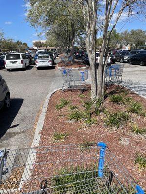 Something happened here... either a cart tornado or almost every person at Walmart in Lakeland is inconsiderate