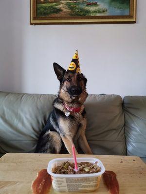 my dogs birthday