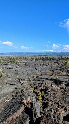 Pu'u o Lokuana Trail | Instagram: @telephonesmoothie