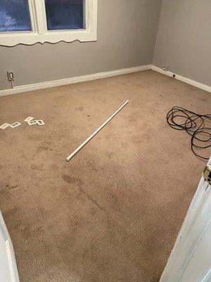 Tenant Move In Cleaning