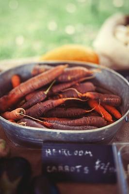 Purple Haze Carrots from the Lyons Farmette