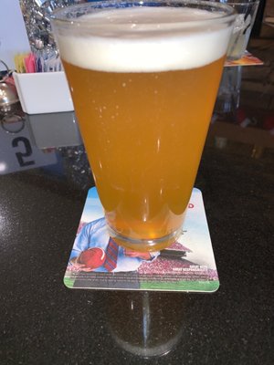 Hazy IPA