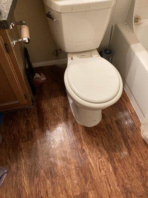 Reset Existing toilet