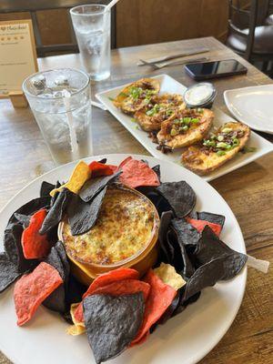 Spinach dip and potato skins, appetizers.