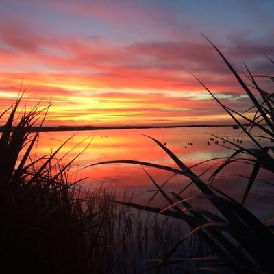 Another gorgeous sunset on Lake Toho!