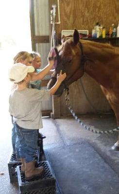 Horse Adventures for kids with our Horse Buddy Program