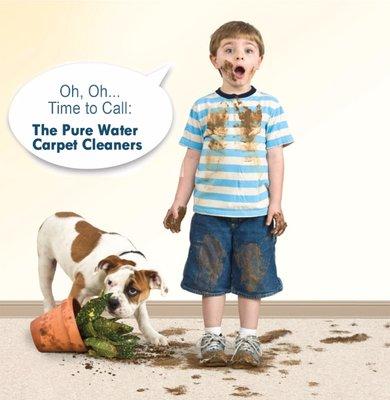 Pure Water Carpet Cleaning By The Good Water Guy