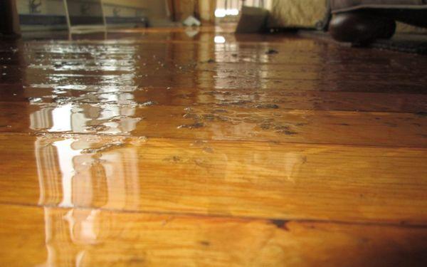 Wood Floor Water Damage