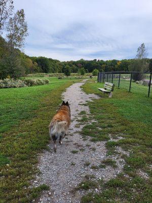 Canine Meadow Dog Park