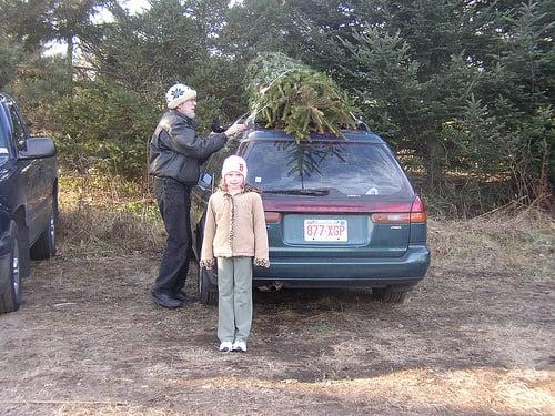 We will gladly help you load your tree on your vehicle - just ask!