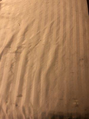 MORE nasty sheets, with some cool hairs on it that weren't mine