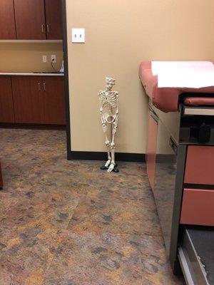 Exam room skeleton model