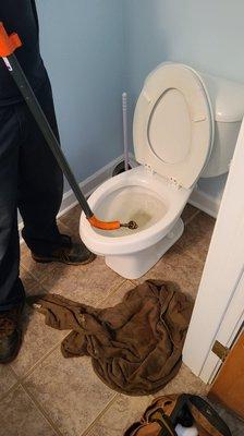 Coutesy Flush Plumbing & Drain Cleaning