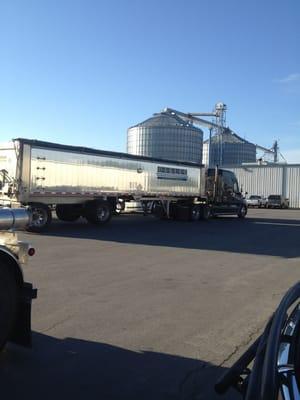 Dump trailer and grain silos