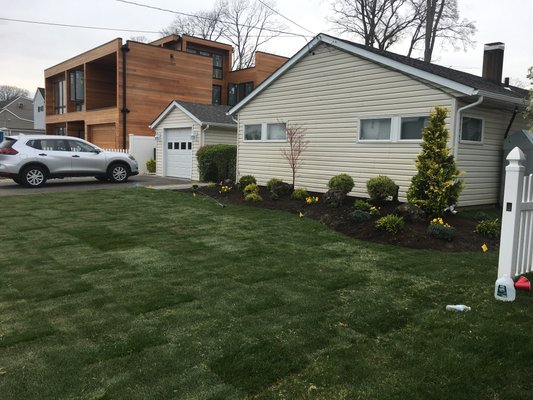 Garden design and installation of grass in a roll