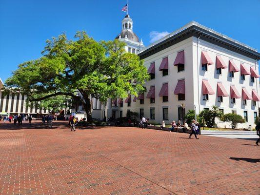 Florida Historic Capitol Museum in Tallahassee