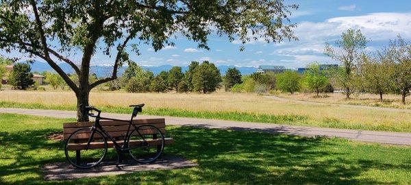 Green meadows at Running Fox Park