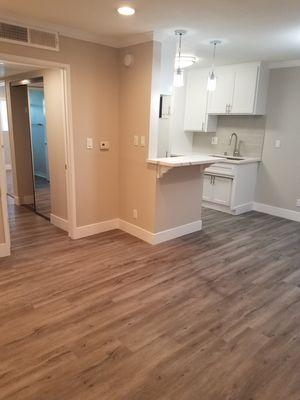 Renovated- Plank wood floors