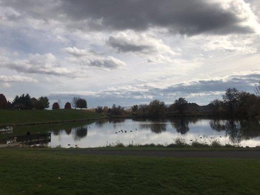 Beautiful pond near the river