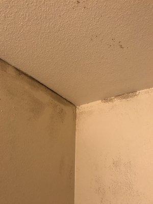 More mold